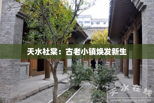 天水社棠:古老小镇焕发新生