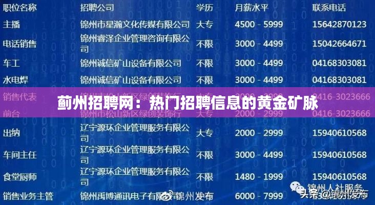 蓟州招聘网：热门招聘信息的黄金矿脉