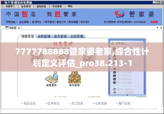 7777788888管家婆老家,综合性计划定义评估_pro38.213-1