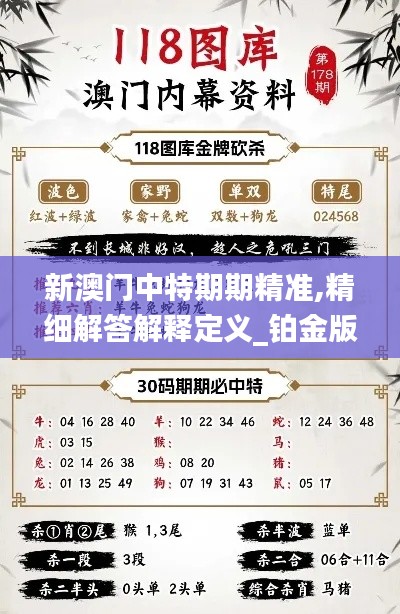 新澳门中特期期精准,精细解答解释定义_铂金版58.187-7