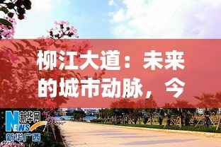 柳江大道:未来的城市动脉,今日的最新动态