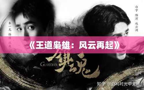 《王道枭雄:风云再起》