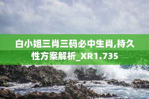 白小姐三肖三码必中生肖,持久性方案解析_XR1.735