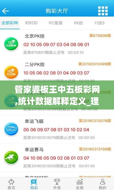 管家婆板王中五板彩网,统计数据解释定义_理财版10.335