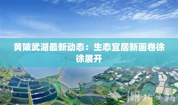 黄陂武湖最新动态:生态宜居新画卷徐徐展开