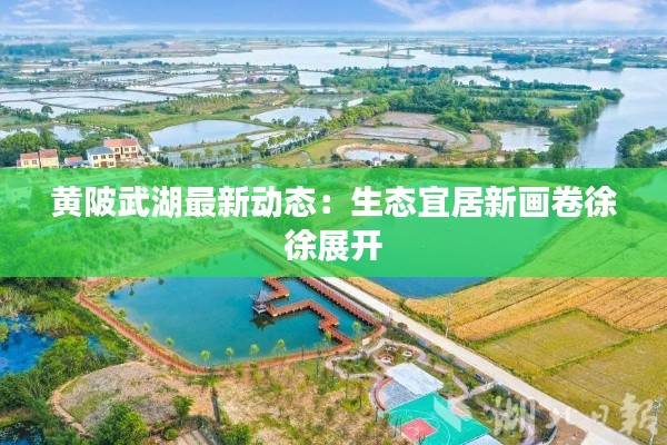 黄陂武湖最新动态:生态宜居新画卷徐徐展开