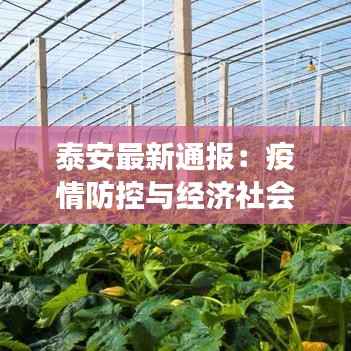 泰安最新通报:疫情防控与经济社会发展双线并行