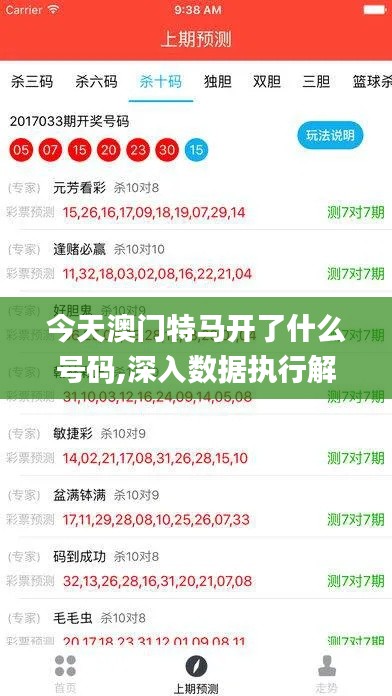 今天澳门特马开了什么号码,深入数据执行解析_开发版16.534