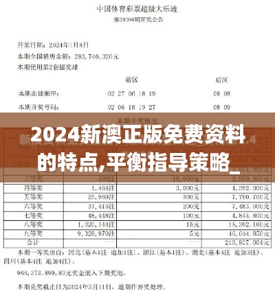 2024新澳正版免费资料的特点,平衡指导策略_精英款10.421