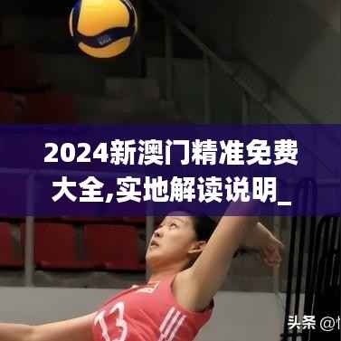 2024新澳门精准免费大全,实地解读说明_经典款5.515