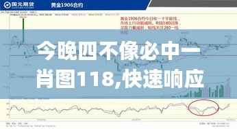 今晚四不像必中一肖图118,快速响应策略方案_tool2.945