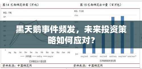 黑天鹅事件频发,未来投资策略如何应对?