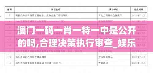 澳门一码一肖一特一中是公开的吗,合理决策执行审查_娱乐版6.299