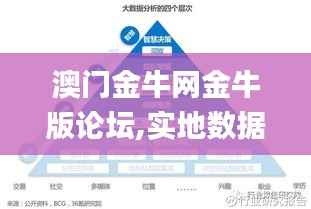 澳门金牛网金牛版论坛,实地数据评估策略_VE版10.739