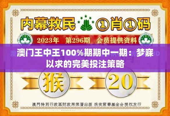 澳门王中王100%期期中一期:梦寐以求的完美投注策略
