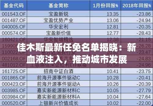 佳木斯最新任免名单揭晓：新血液注入，推动城市发展