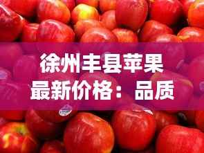 罗含梦鸟 第4页