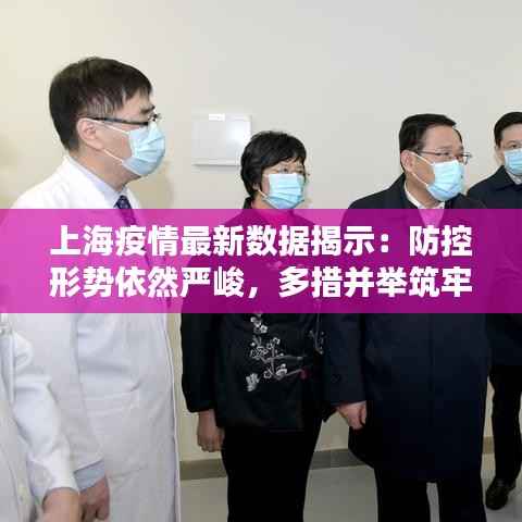 上海疫情最新数据揭示:防控形势依然严峻,多措并举筑牢防线