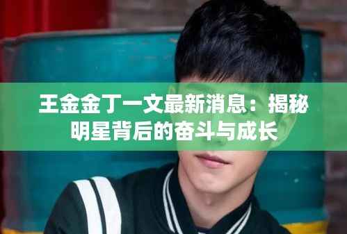 王金金丁一文最新消息：揭秘明星背后的奋斗与成长
