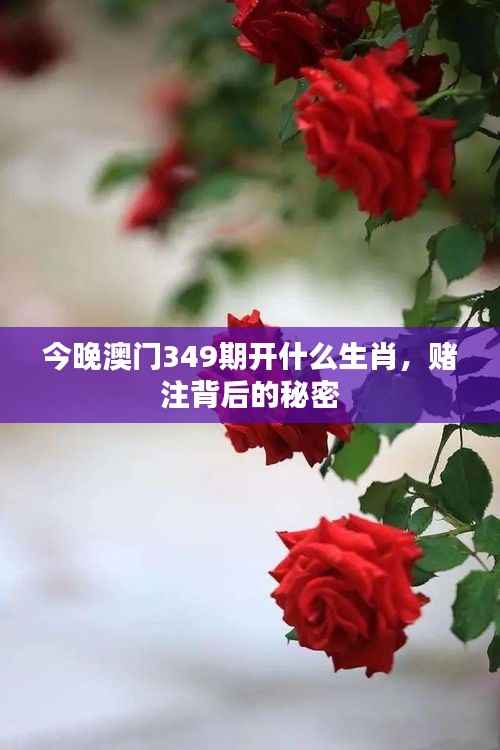 今晚澳门349期开什么生肖，赌注背后的秘密