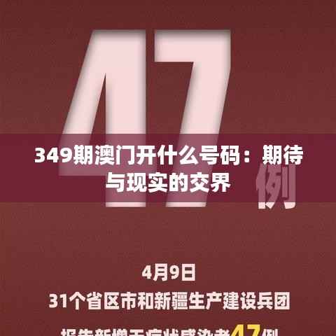 349期澳门开什么号码:期待与现实的交界