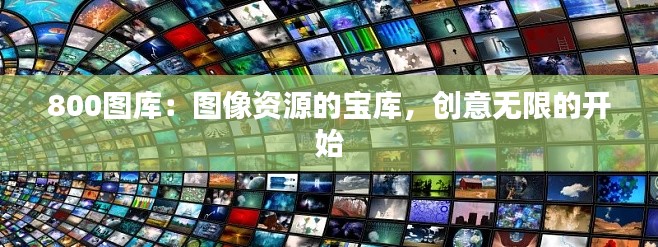 800图库:图像资源的宝库,创意无限的开始