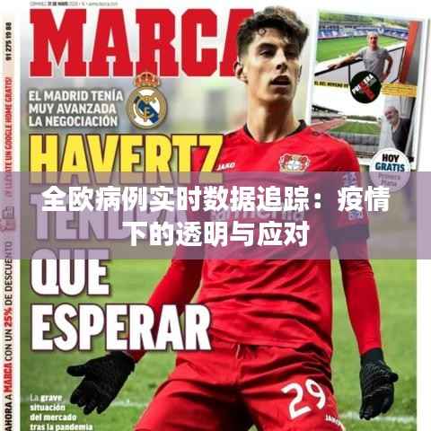 全欧病例实时数据追踪:疫情下的透明与应对