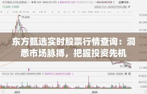 东方甄选实时股票行情查询:洞悉市场脉搏,把握投资先机