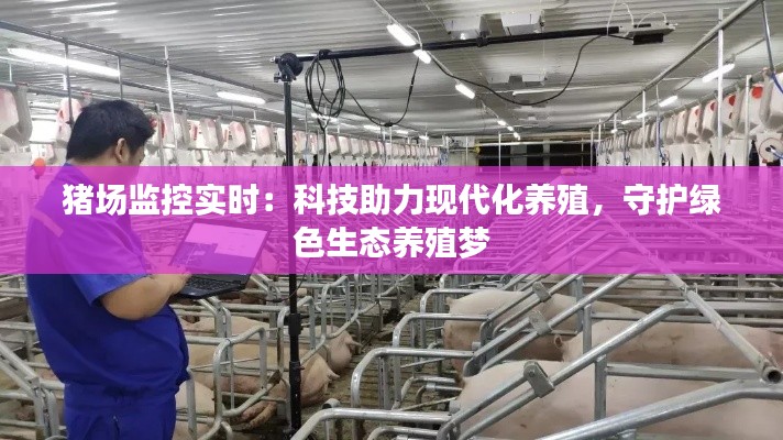 猪场监控实时:科技助力现代化养殖,守护绿色生态养殖梦