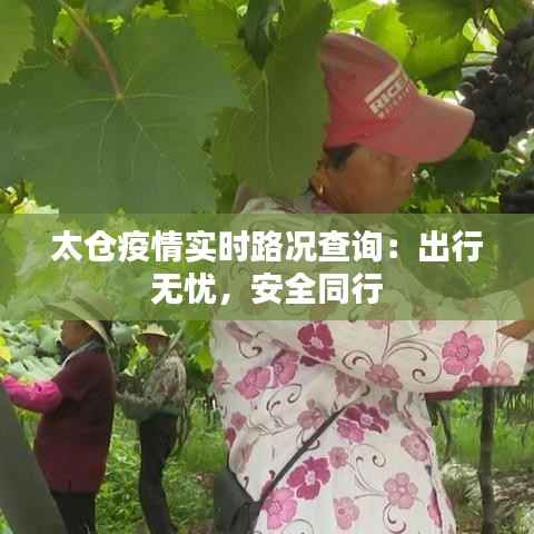 太仓疫情实时路况查询：出行无忧，安全同行