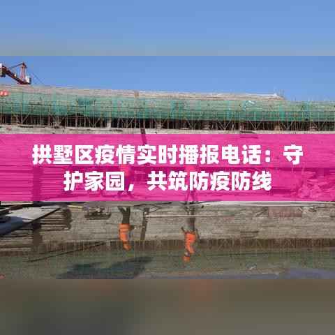 拱墅区疫情实时播报电话：守护家园，共筑防疫防线