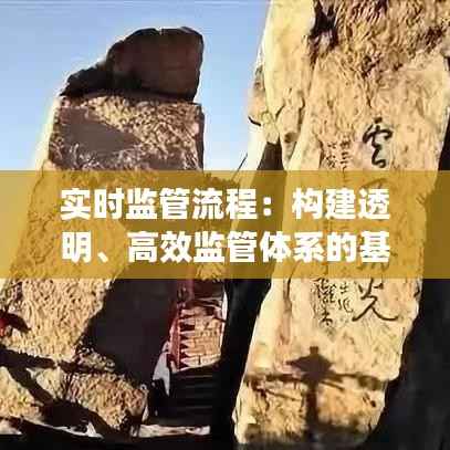 实时监管流程：构建透明、高效监管体系的基石