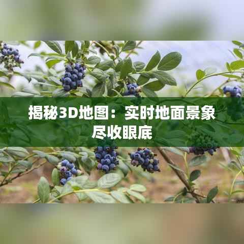 揭秘3D地图:实时地面景象尽收眼底