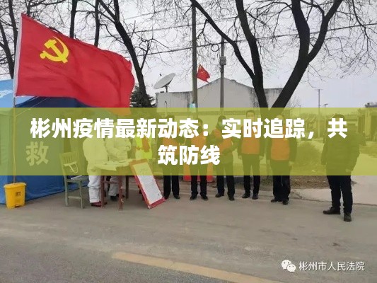 彬州疫情最新动态：实时追踪，共筑防线