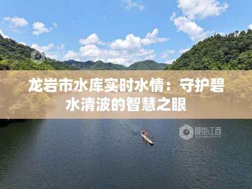 龙岩市水库实时水情:守护碧水清波的智慧之眼