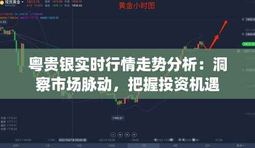粤贵银实时行情走势分析：洞察市场脉动，把握投资机遇