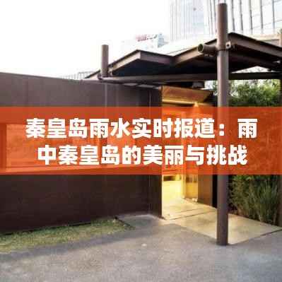 秦皇岛雨水实时报道：雨中秦皇岛的美丽与挑战
