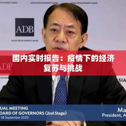 国内实时报告:疫情下的经济复苏与挑战