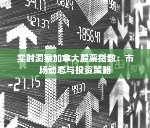 实时洞察加拿大股票指数:市场动态与投资策略