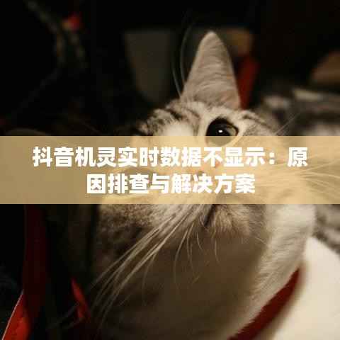 抖音机灵实时数据不显示:原因排查与解决方案