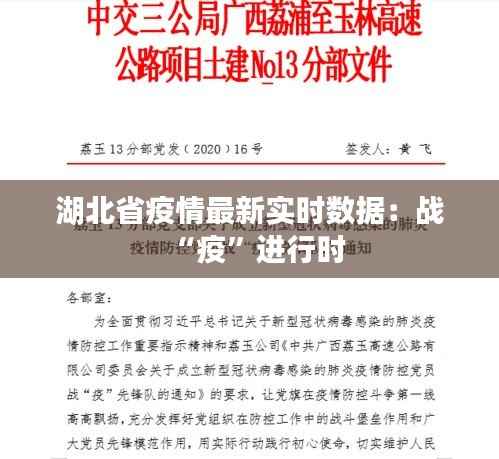 湖北省疫情最新实时数据:战“疫”进行时