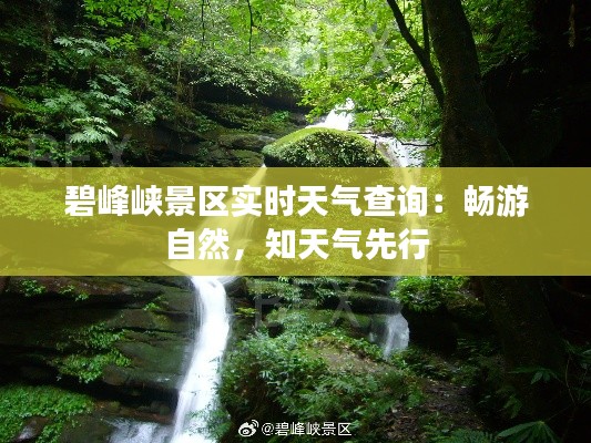 碧峰峡景区实时天气查询:畅游自然,知天气先行