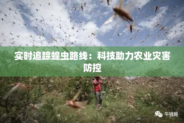 实时追踪蝗虫路线:科技助力农业灾害防控