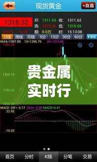 贵金属实时行情,贵金属实时行情最新