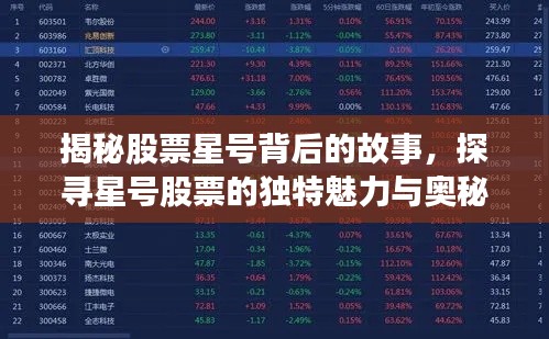 揭秘股票星号背后的故事,探寻星号股票的独特魅力与奥秘