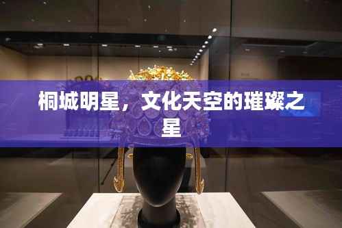 桐城明星,文化天空的璀璨之星