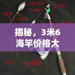 揭秘,3米6海竿价格大解密!