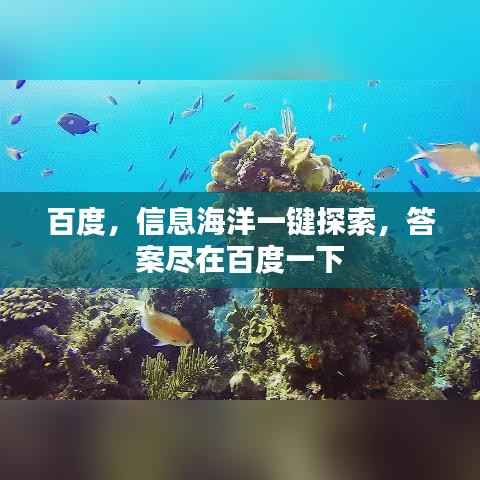 百度,信息海洋一键探索,答案尽在百度一下