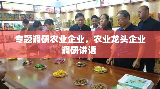 专题调研农业企业，农业龙头企业调研讲话 
