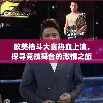 欧美格斗大赛热血上演,探寻竞技舞台的激情之旅